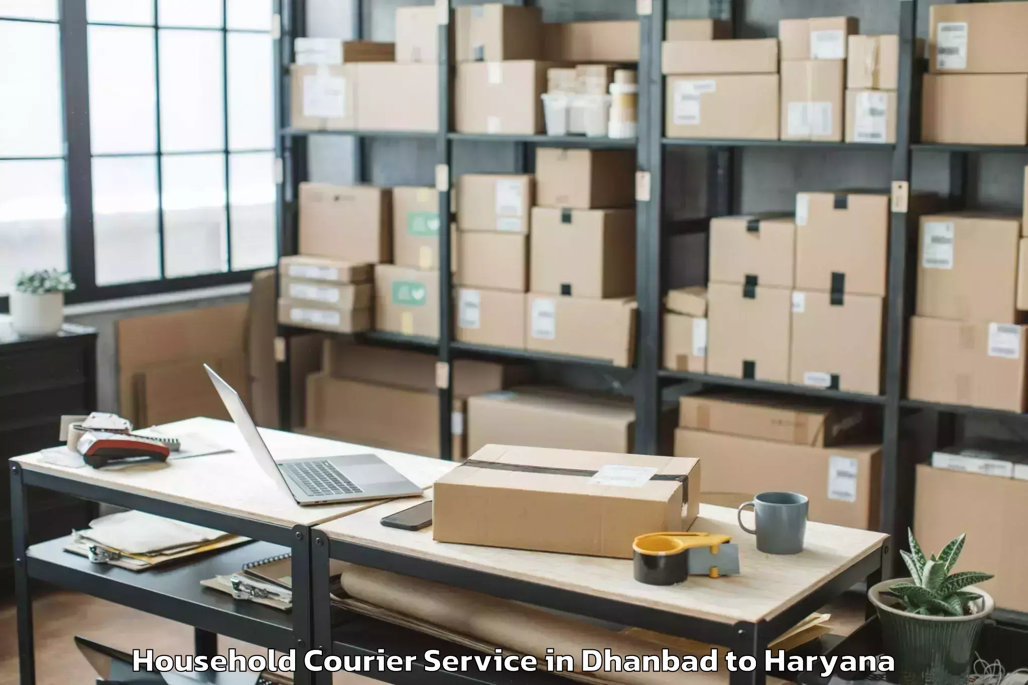 Top Dhanbad to Charkhi Dadri Household Courier Available